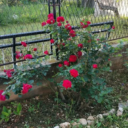 Seaside House Poljica, Trogir - 23107 بيت للعطل *